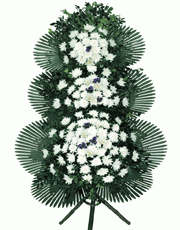 f08-13(1).gif