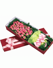 t_flower003_010(1).gif